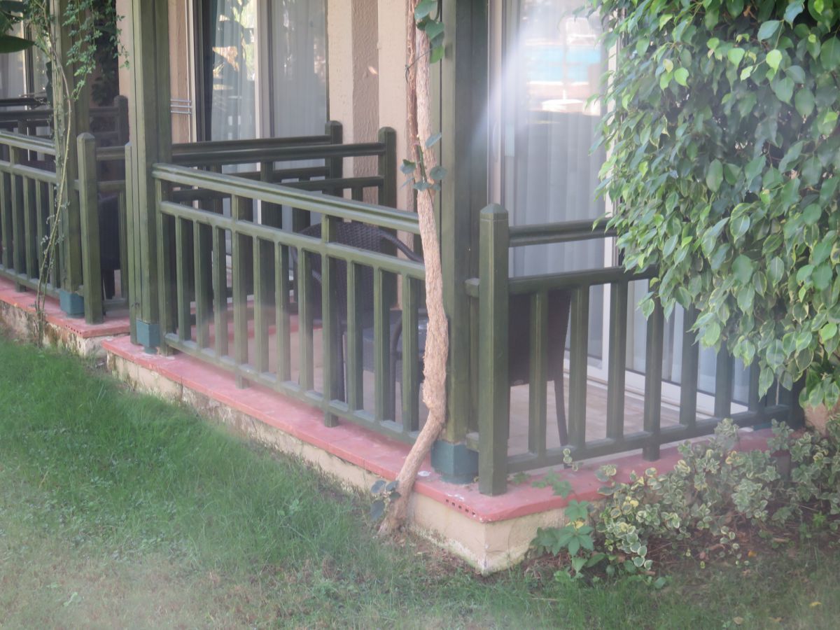 imagini hotel PALOMA OCEANA